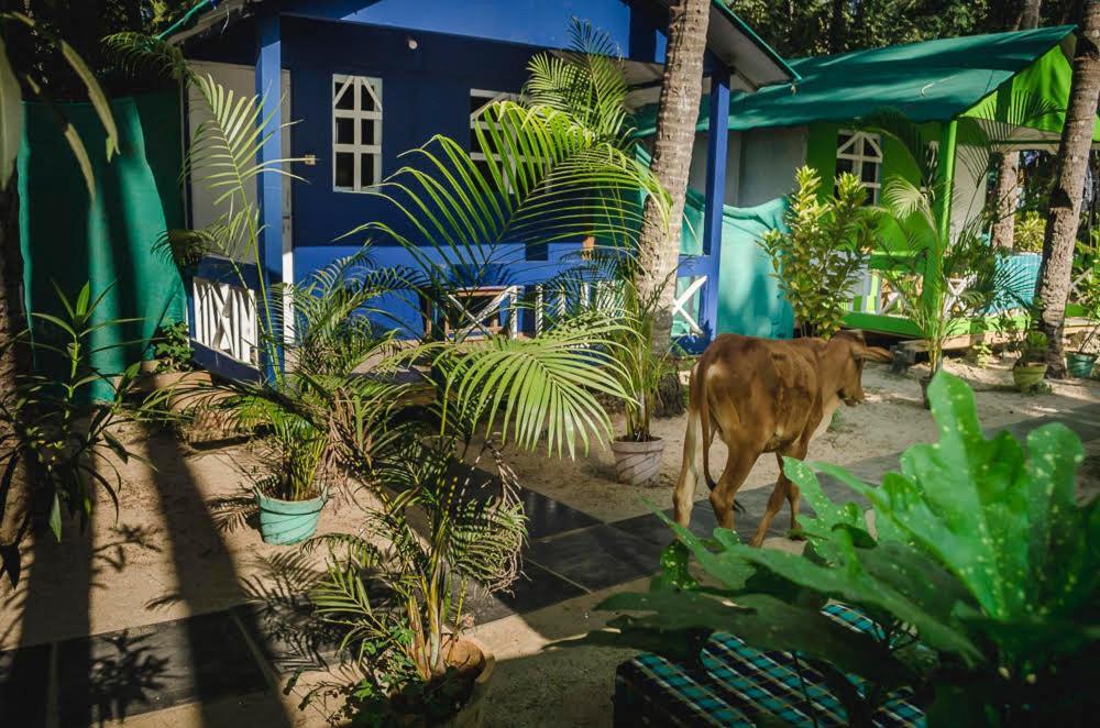 Secret Beach Bungalows, Palolem Dış mekan fotoğraf